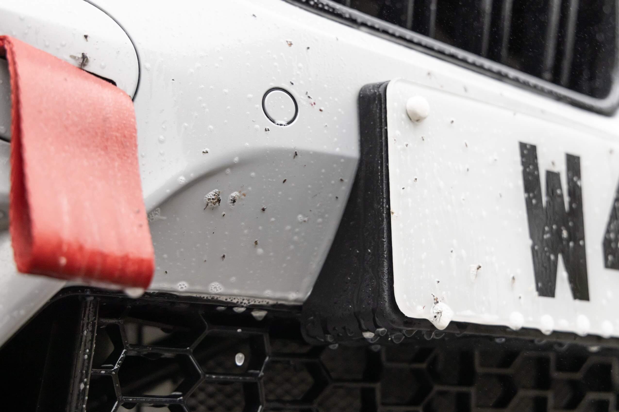 Auto Finesse | Citrus Power – Die Zitrus-Vorwäsche, die Insekten und Straßenschmutz hart bekämpft!