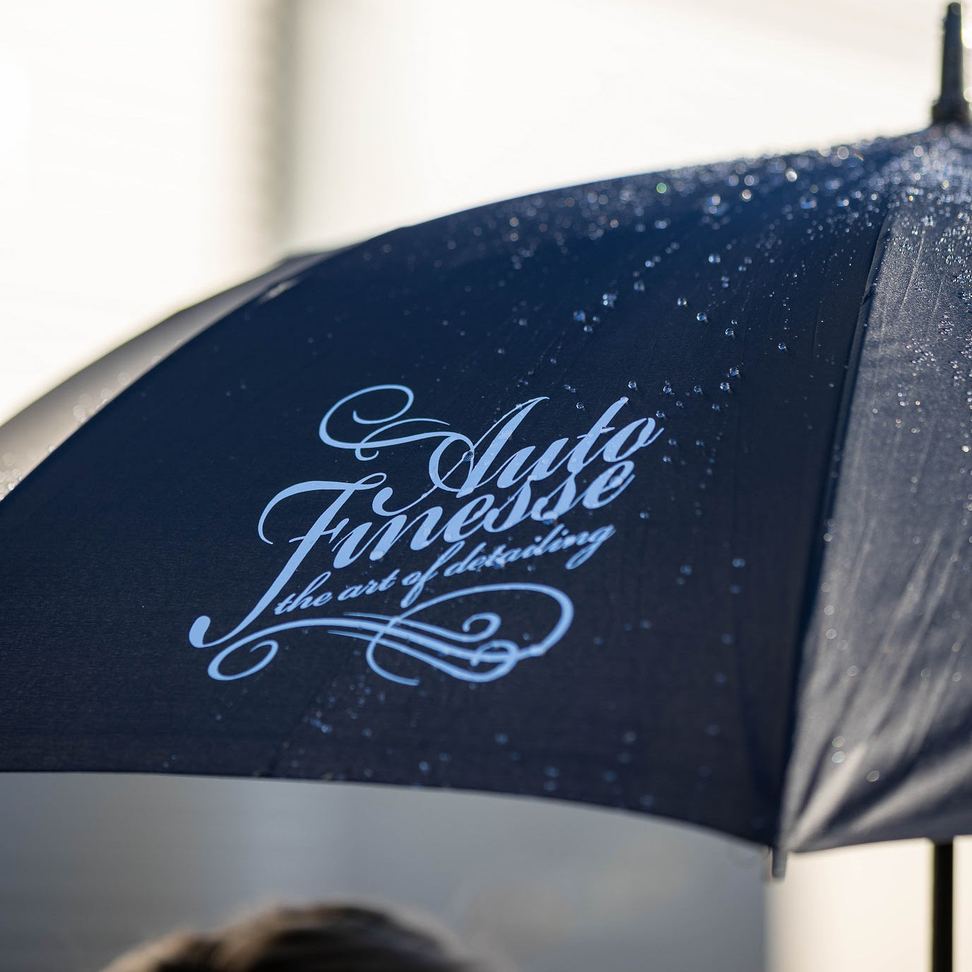 Umbrella With Rain
